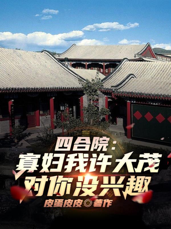 四合院许大茂的