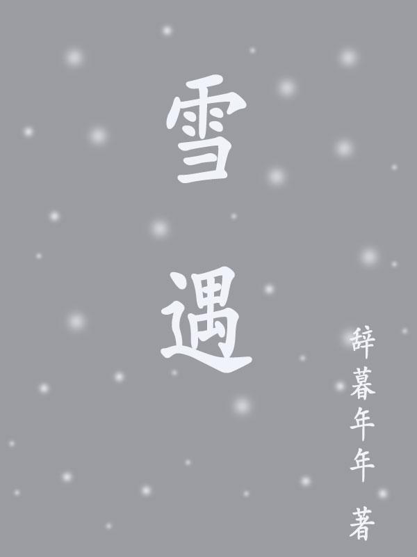 雪遇by夏诺多吉讲的什么