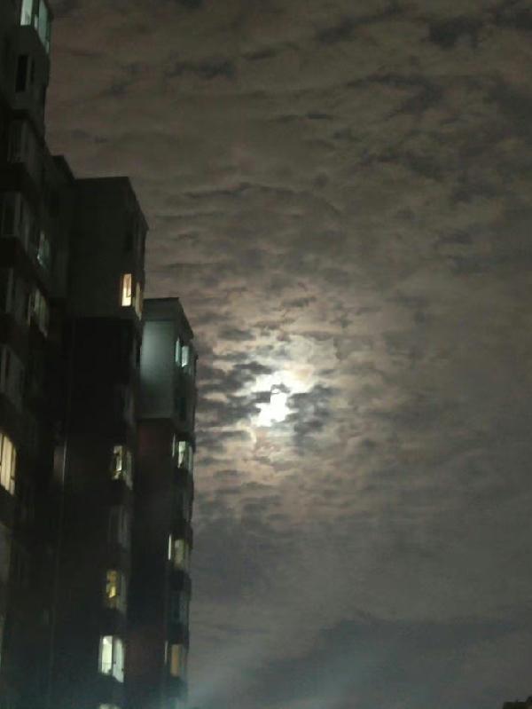 末世重生之带着全家来种田