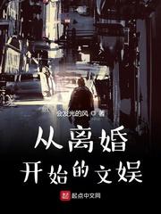 从离婚开始的文娱TXT奇书网