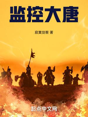 大型监控解决方案