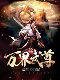 万界武尊叶枫免费阅读全文