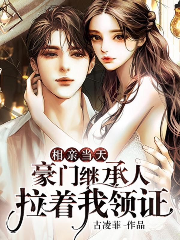 豪门继承人拉着我领证无弹窗
