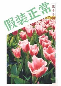 假装正常三十个月免费阅读