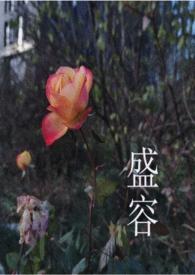 男强女强女宠男