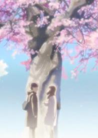02樱花树下