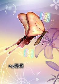 蝴蝶兰的花语和寓意