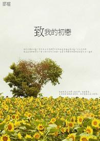致我的初恋李玟全文免费