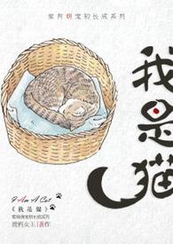 我是猫译本哪一版好
