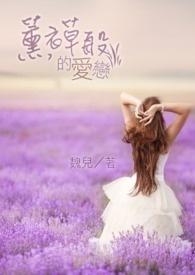 薰衣草连续剧主题曲