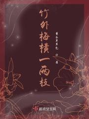 竹外梅横一两枝 薰衣草包