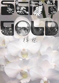 Stay Gold黄金旅程