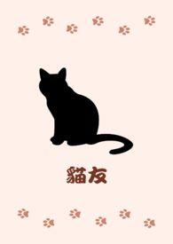 猫咪社区猫友