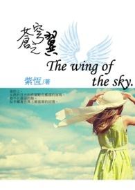 白色苍穹之翼