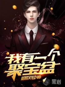 我有一个聚宝盆免费观看全集