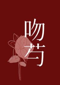 先吻后爱综艺节目