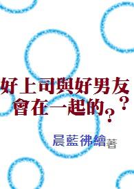 好上司与好男友?会在一起的电视剧