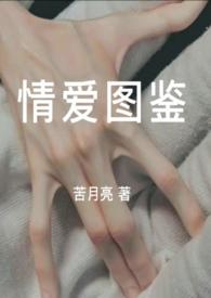 百度情爱