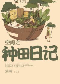 空间种田录