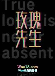 玫瑰先生txt