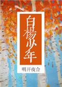 白杨少年讲的什么故事