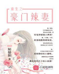 重生之豪门辣妻