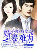闪婚后爱之娇妻难为