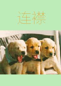 连襟（人格分裂 h）