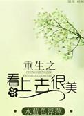 重生之看上去很美