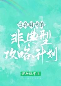 漂亮男孩的非典型攻略计划（）