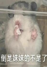 她太投入（gl）